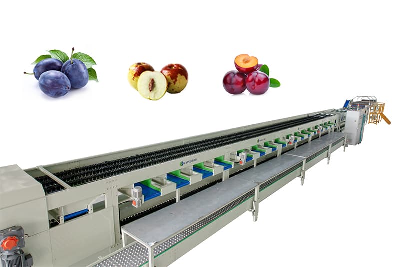 images/1698652563273small fruit sorting machine.jpg